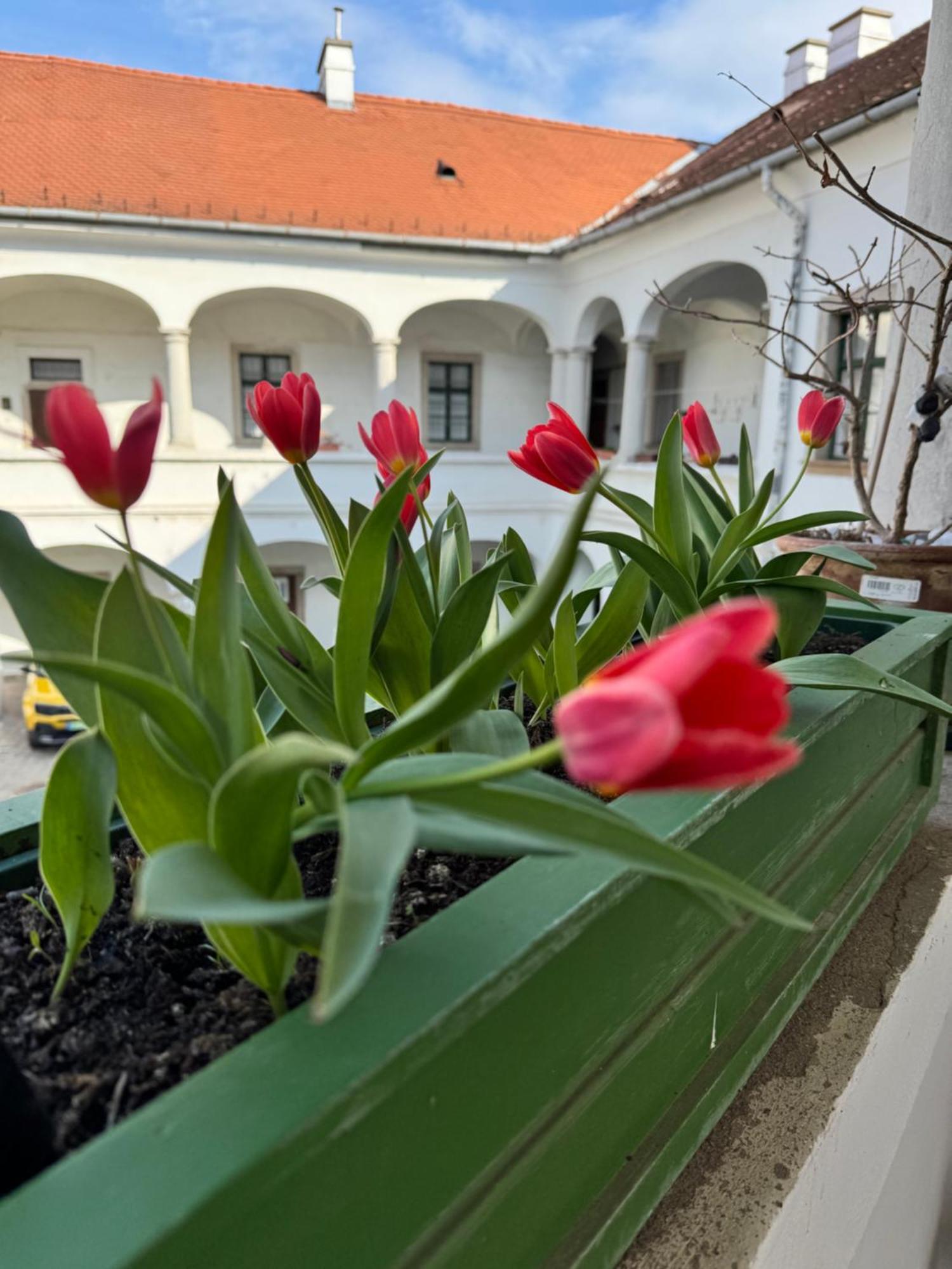 Forst-Haz Apartman Eger Exterior photo